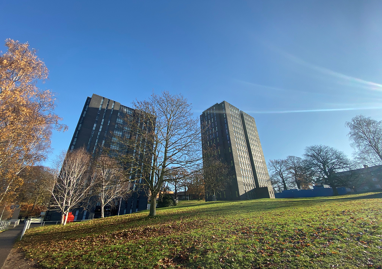 recently regenerated housing blocks side by side