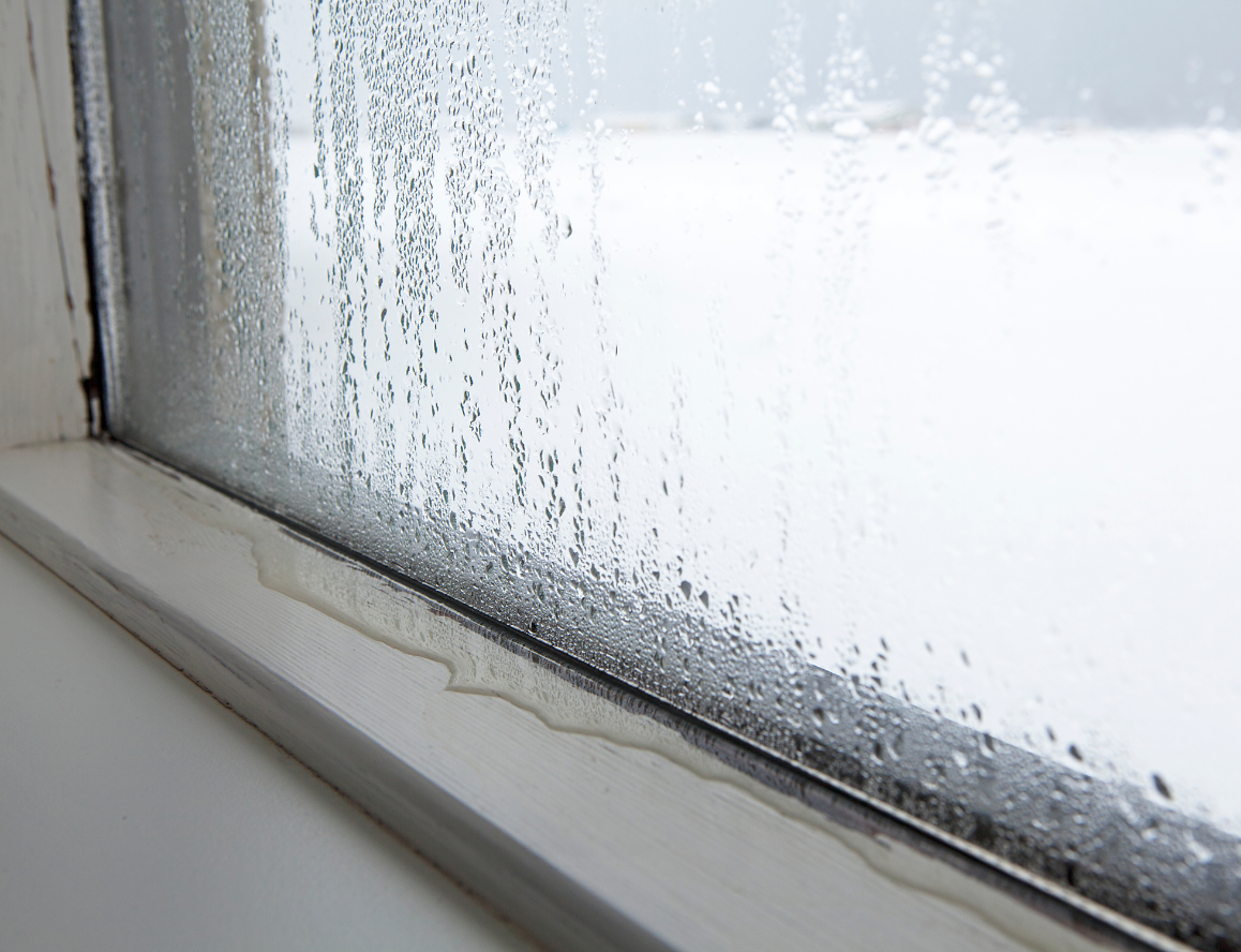 condensation and black mould on internal window